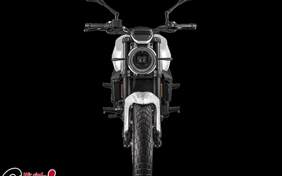 Neufahrzeug Moto Morini 6 1/2 Seiemmezzo STR - Bild 5 Neufahrzeug Moto Morini 6 1/2 Seiemmezzo STR - Bild 5