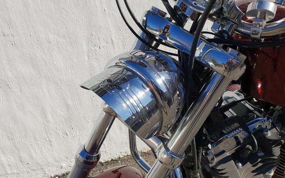 Gebrauchtmotorrad Harley-Davidson Sportster XL 1200 V Seventy-Two - Bild 8