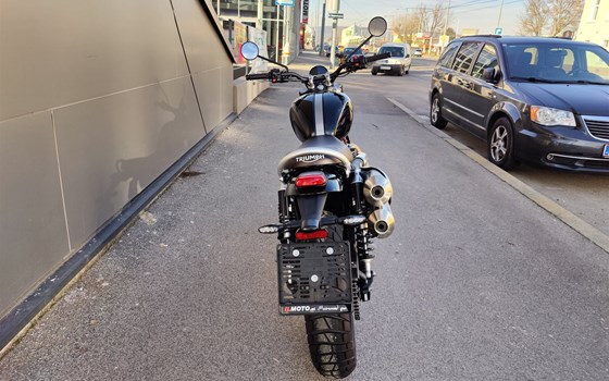 Neufahrzeug Triumph Scrambler 1200 X - Bild 5 Neufahrzeug Triumph Scrambler 1200 X - Bild 5