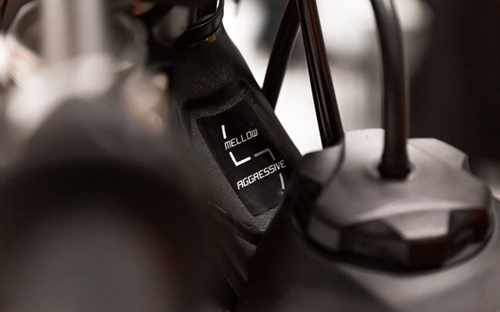 Neufahrzeug KTM 250 SX - Bild 17