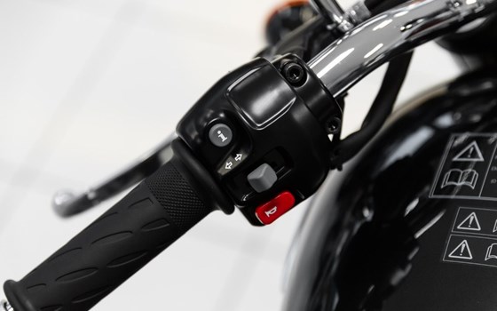 Neufahrzeug Triumph Bonneville T100 - Bild 11