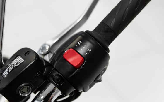 Neufahrzeug Triumph Bonneville T100 - Bild 12