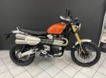 Angebot Triumph Scrambler 1200 XE