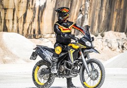 Neumotorrad Voge 300 Rally