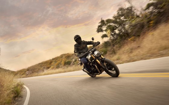 Neufahrzeug Triumph Scrambler 400 X - Bild 12