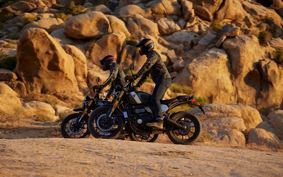 Neufahrzeug Triumph Scrambler 400 X - Bild 3