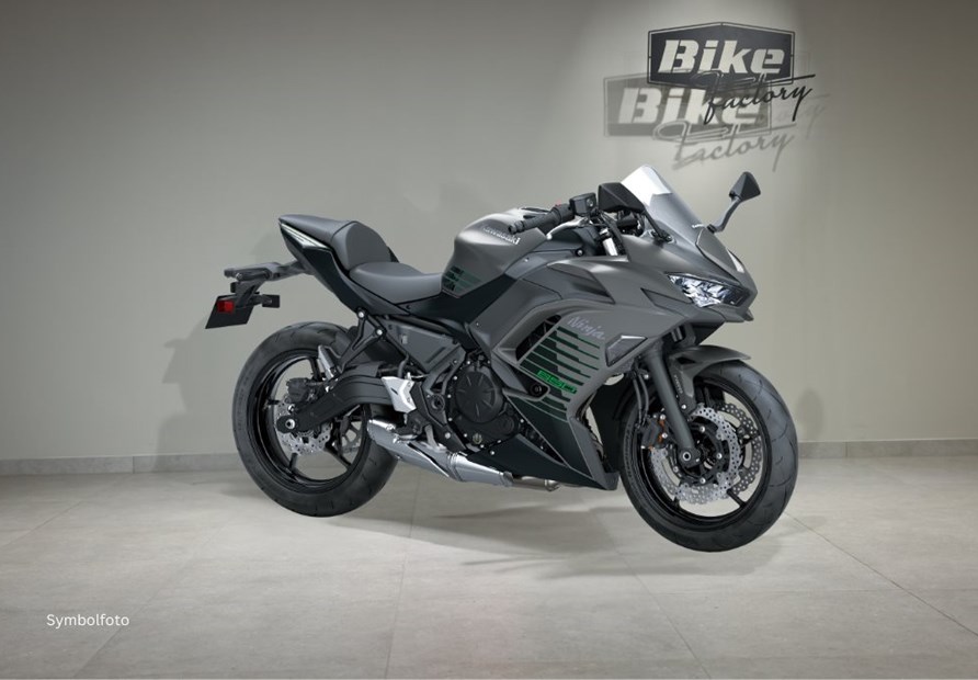 Kawasaki Ninja 650 (GY1 Grau & Schwarz)