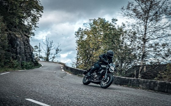 Neufahrzeug Husqvarna Svartpilen 401 - Bild 9 Neufahrzeug Husqvarna Svartpilen 401 - Bild 9