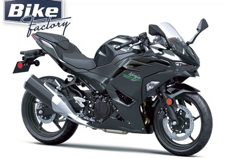 Kawasaki Ninja 500 (BK1: Black / Gray)