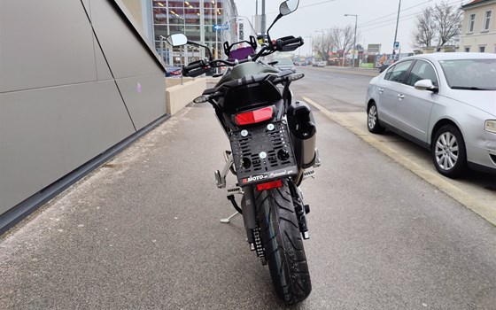 Neufahrzeug Triumph Tiger 900 Rally Pro - Bild 5 Neufahrzeug Triumph Tiger 900 Rally Pro - Bild 5