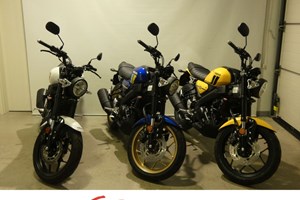 Angebot Yamaha XSR125