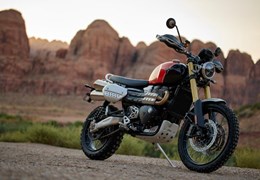 Neumotorrad Triumph Scrambler 1200 XE