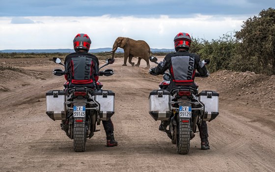 Neufahrzeug Ducati Multistrada V4 Rally - Bild 8