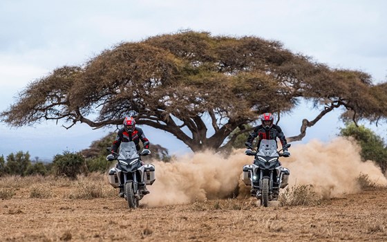 Neufahrzeug Ducati Multistrada V4 Rally - Bild 9