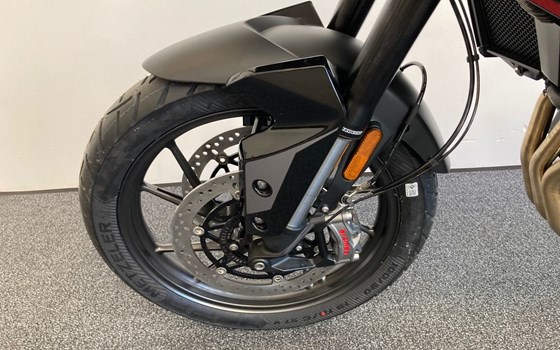 Neufahrzeug Triumph Tiger 900 GT - Bild 14 Neufahrzeug Triumph Tiger 900 GT - Bild 14