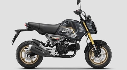 Neumotorrad Honda MSX125 Grom