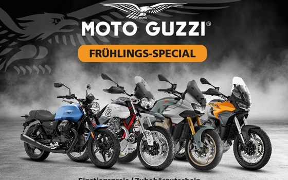 Neufahrzeug Moto Guzzi Stelvio - Bild 5