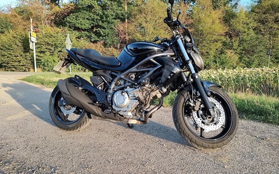 Gebrauchtmotorrad Suzuki SFV 650 Gladius - Bild 1