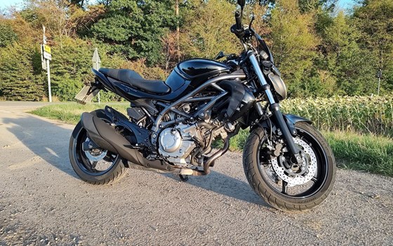 Gebrauchtmotorrad Suzuki SFV 650 Gladius - Bild 1