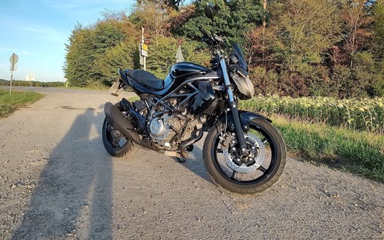 Gebrauchtmotorrad Suzuki SFV 650 Gladius - Bild 2