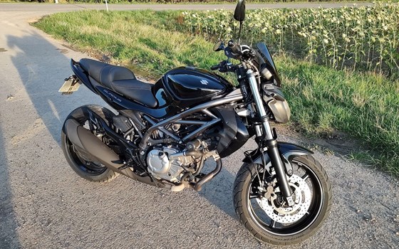Gebrauchtmotorrad Suzuki SFV 650 Gladius - Bild 3
