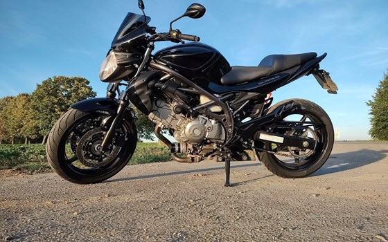 Gebrauchtmotorrad Suzuki SFV 650 Gladius - Bild 4