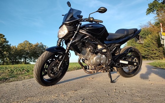 Gebrauchtmotorrad Suzuki SFV 650 Gladius - Bild 5