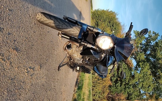 Gebrauchtmotorrad Suzuki SFV 650 Gladius - Bild 6