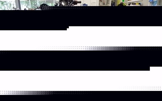 Neufahrzeug Piaggio 1 Active - Bild 3