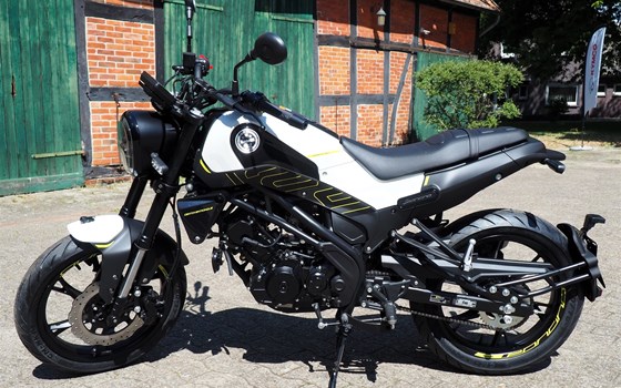 Neufahrzeug Benelli Leoncino 125 - Bild 2