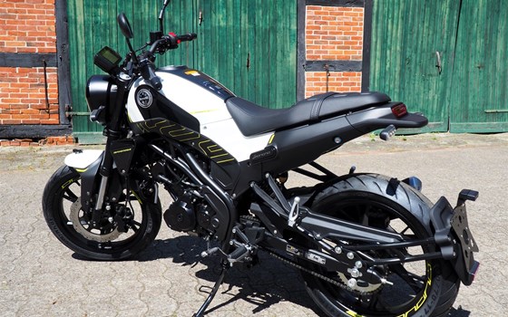 Neufahrzeug Benelli Leoncino 125 - Bild 3