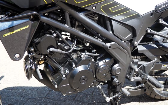 Neufahrzeug Benelli Leoncino 125 - Bild 10