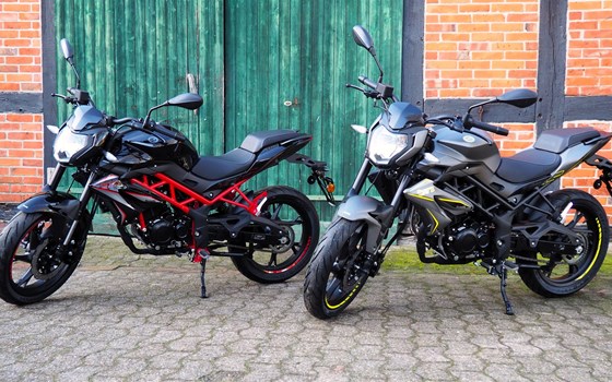 Neufahrzeug Benelli BN 125 - Bild 15