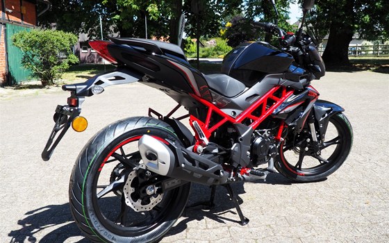 Neufahrzeug Benelli BN 125 - Bild 6