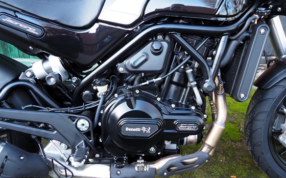 Neufahrzeug Benelli Leoncino 500 - Bild 14