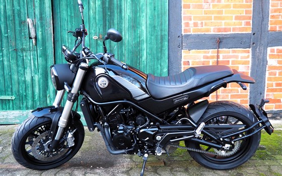 Neufahrzeug Benelli Leoncino 500 - Bild 2