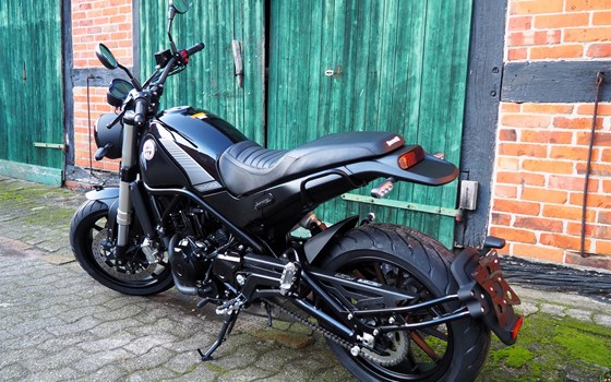 Neufahrzeug Benelli Leoncino 500 - Bild 3