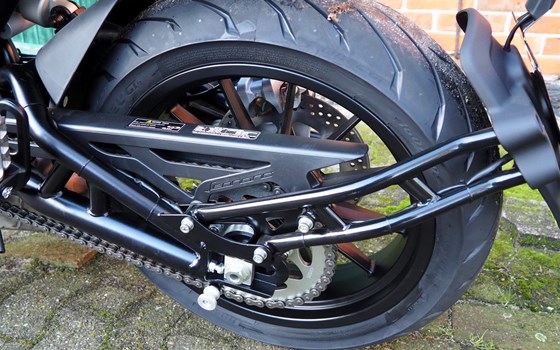 Neufahrzeug Benelli Leoncino 500 - Bild 12