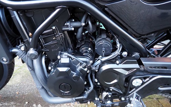 Neufahrzeug Benelli Leoncino 500 - Bild 10