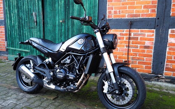 Neufahrzeug Benelli Leoncino 500 - Bild 4