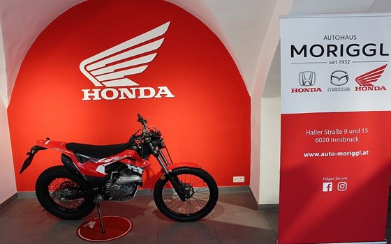 Neufahrzeug Montesa 4Ride - Bild 1