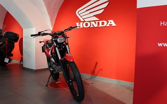 Neufahrzeug Montesa 4Ride - Bild 3