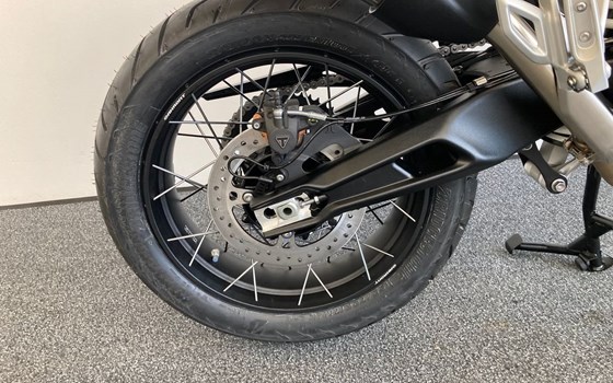 Neufahrzeug Triumph Tiger 900 Rally Pro - Bild 7