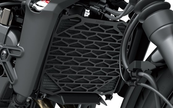 Neufahrzeug Kawasaki Eliminator 500 SE - Bild 11