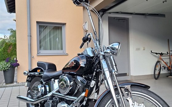 Gebrauchtmotorrad Harley-Davidson Softail Springer FXSTS - Bild 1 Gebrauchtmotorrad Harley-Davidson Softail Springer FXSTS - Bild 1