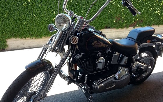 Gebrauchtmotorrad Harley-Davidson Softail Springer FXSTS - Bild 2 Gebrauchtmotorrad Harley-Davidson Softail Springer FXSTS - Bild 2