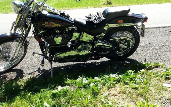 Gebrauchtmotorrad Harley-Davidson Softail Springer FXSTS - Bild 4 Gebrauchtmotorrad Harley-Davidson Softail Springer FXSTS - Bild 4