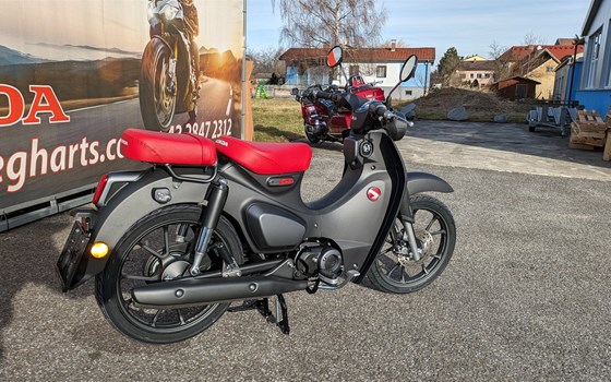 Neufahrzeug Honda Super Cub C 125 - Bild 2