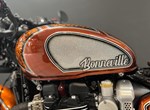 Angebot Triumph Bonneville Bobber