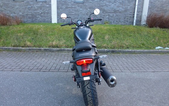 Neufahrzeug Kawasaki Eliminator 600 - Bild 8